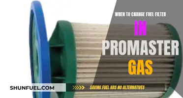 Promaster Gas: Fuel Filter Change Intervals and Maintenance