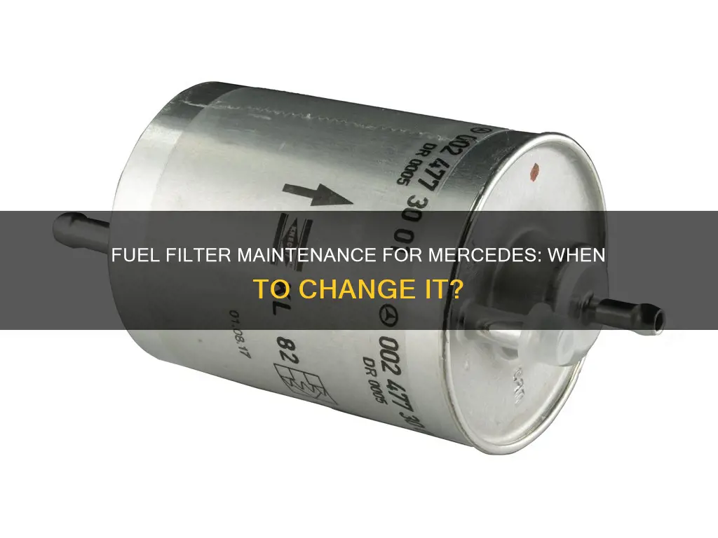 when to change fuel filter mercedes