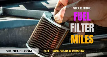 Fuel Filter Maintenance: When to Change and Why It Matters