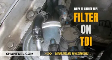 Fuel Filter Maintenance for TDI: When to Change It?