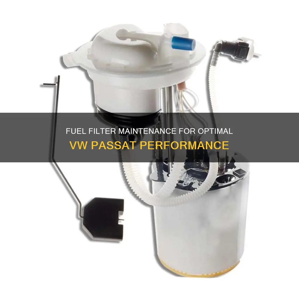 when to change fuel filter passat v6