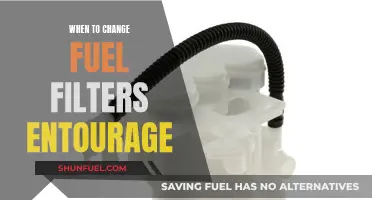 Fuel Filter Maintenance: Entourage Vehicle Care Tips