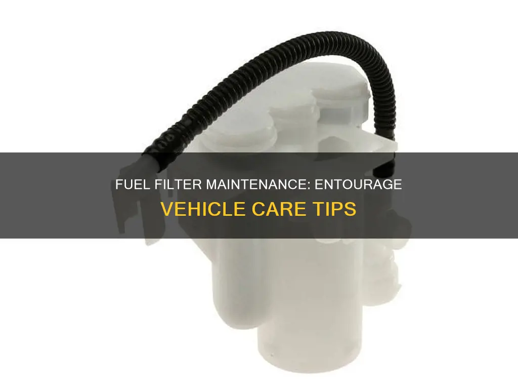 when to change fuel filters entourage