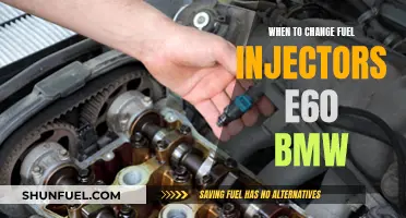 BMW E60 Fuel Injector Replacement: When is the Right Time?