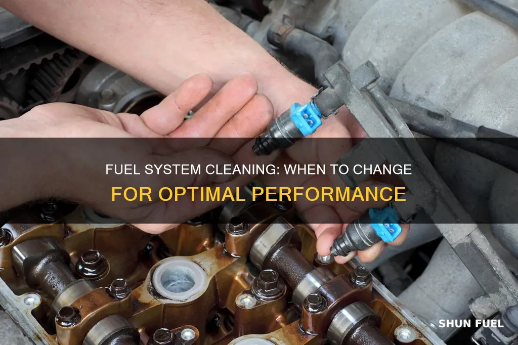 when to change fuel system cleaning