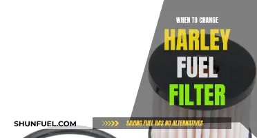 Harley Fuel Filter: When to Change and Why