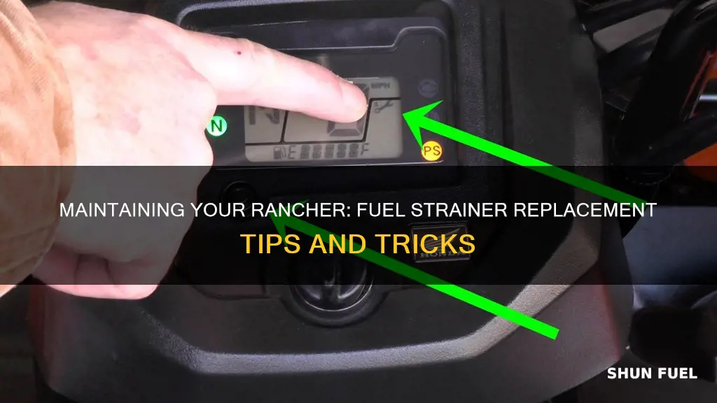 when to change honda rancher fuel strainer