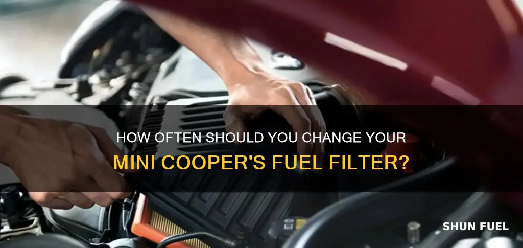 when to change mini cooper fuel filter