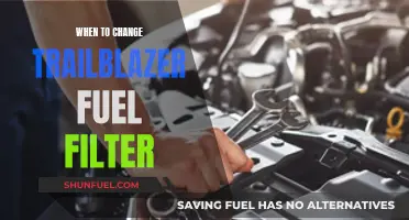 How Often Should You Change Your Trailblazer's Fuel Filter?