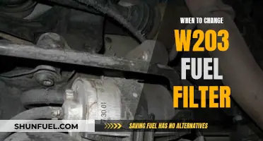 How Often Should You Change the Fuel Filter on a W203?