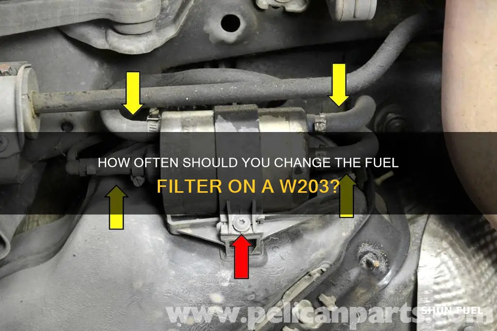 when to change w203 fuel filter