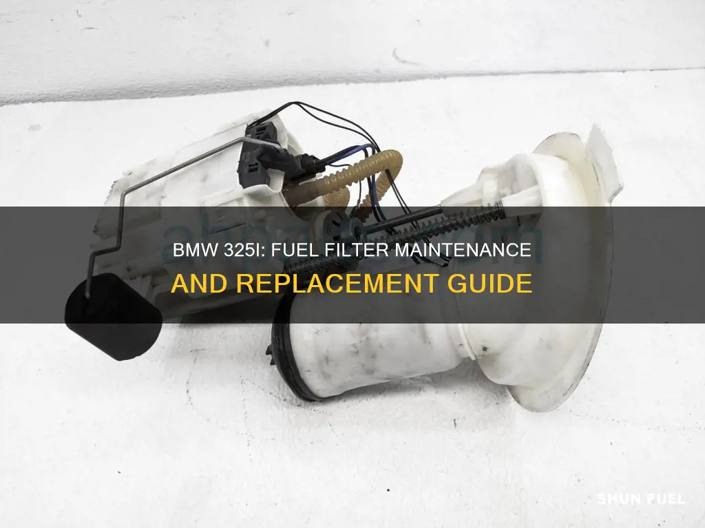 when to chnage my fuel filter bmw 325i