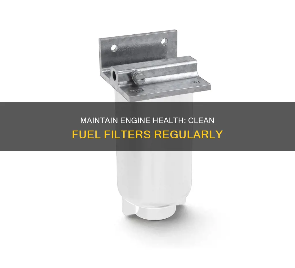 when to clean fuel filter