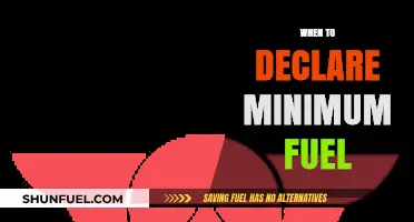 Navigating the Skies: Optimal Timing for Declaring Minimum Fuel