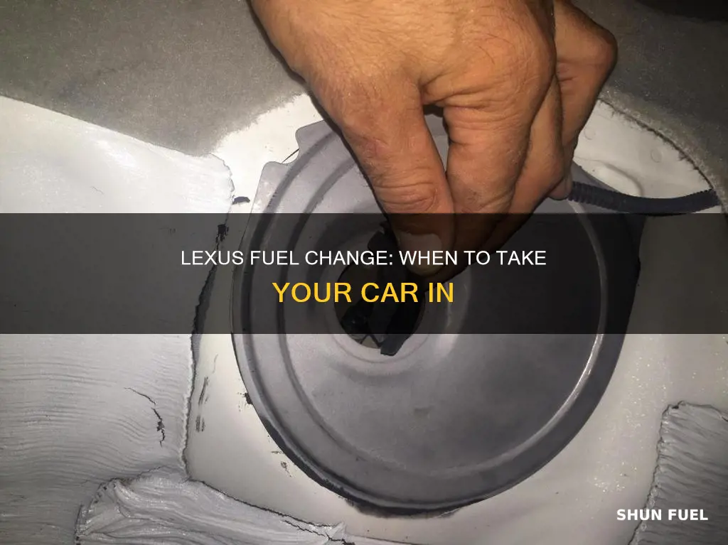 when to do lexus fuel change