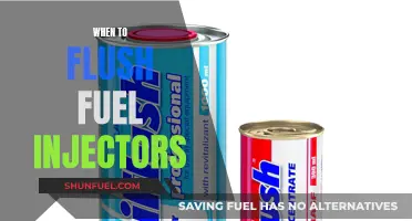 Flushing Fuel Injectors: When is the Right Time?