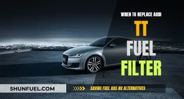 Fuel Filter Maintenance for Audi TT: When to Replace It