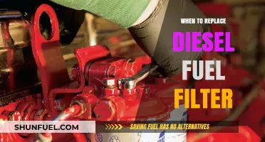 When to Replace Your Diesel Fuel Filter: A Guide to Preventing Engine Issues