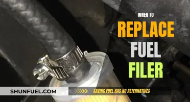 Fuel Filter Replacement: When to Change and Why