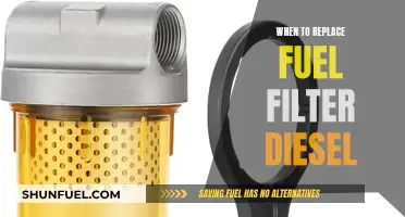 How Often Should You Replace Your Diesel Fuel Filter?