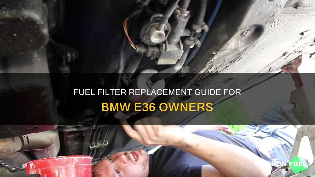 when to replace fuel filter e36