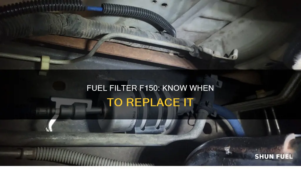 when to replace fuel filter f150