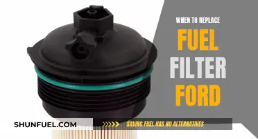 Fuel Filter Maintenance for Ford: When to Replace It