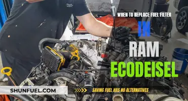 Fuel Filter Replacement Guide for Ram EcoDiesel Engines