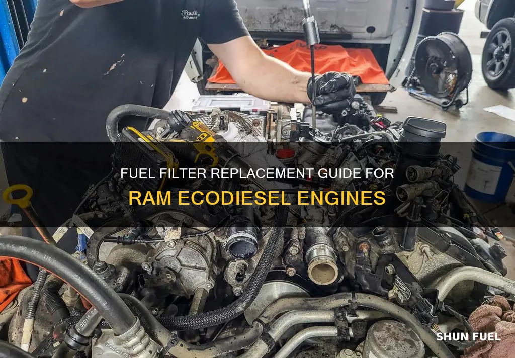 when to replace fuel filter in ram ecodeisel