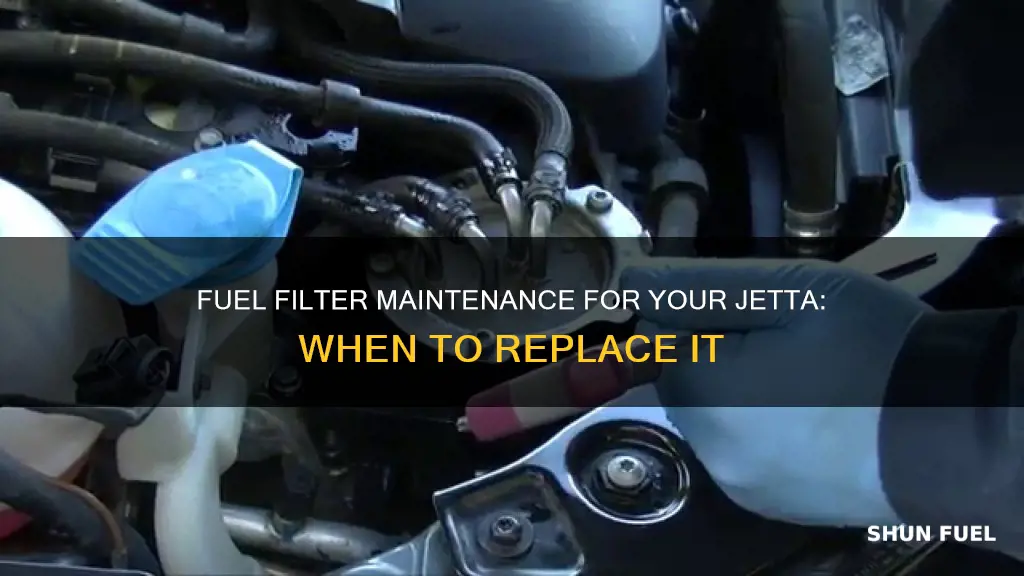 when to replace fuel filter jetta