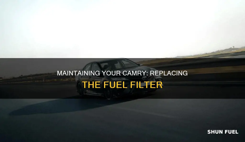 when to replace fuel filter on 2010 toyota camry