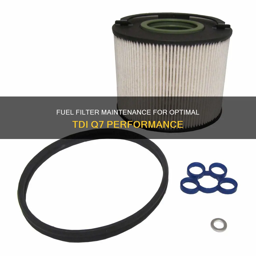 when to replace fuel filter tdi q7