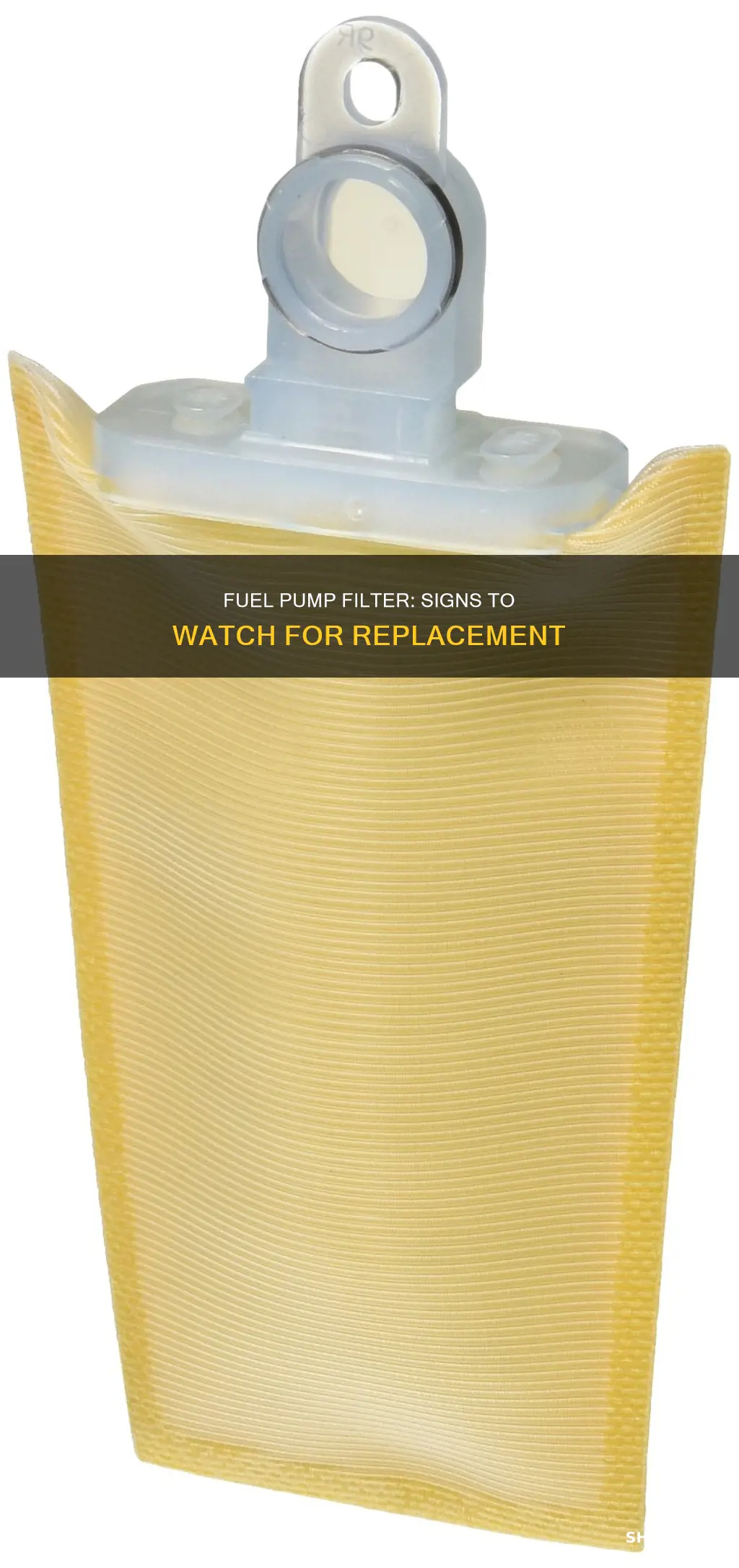 when to replace fuel pump filter