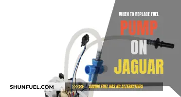 Jaguar Fuel Pump: When to Replace and Why