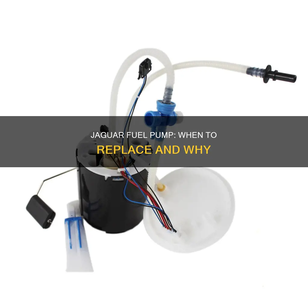 when to replace fuel pump on jaguar