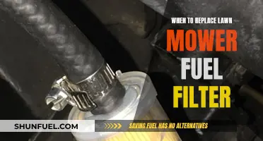 Lawn Mower Fuel Filter: When to Replace It?