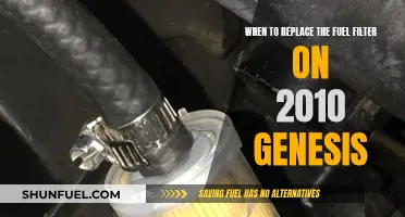 Fuel Filter Replacement Guide for 2010 Genesis Owners