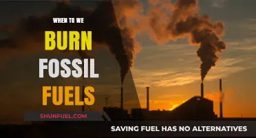 When Do We Burn Fossil Fuels: Timing and Environmental Impact