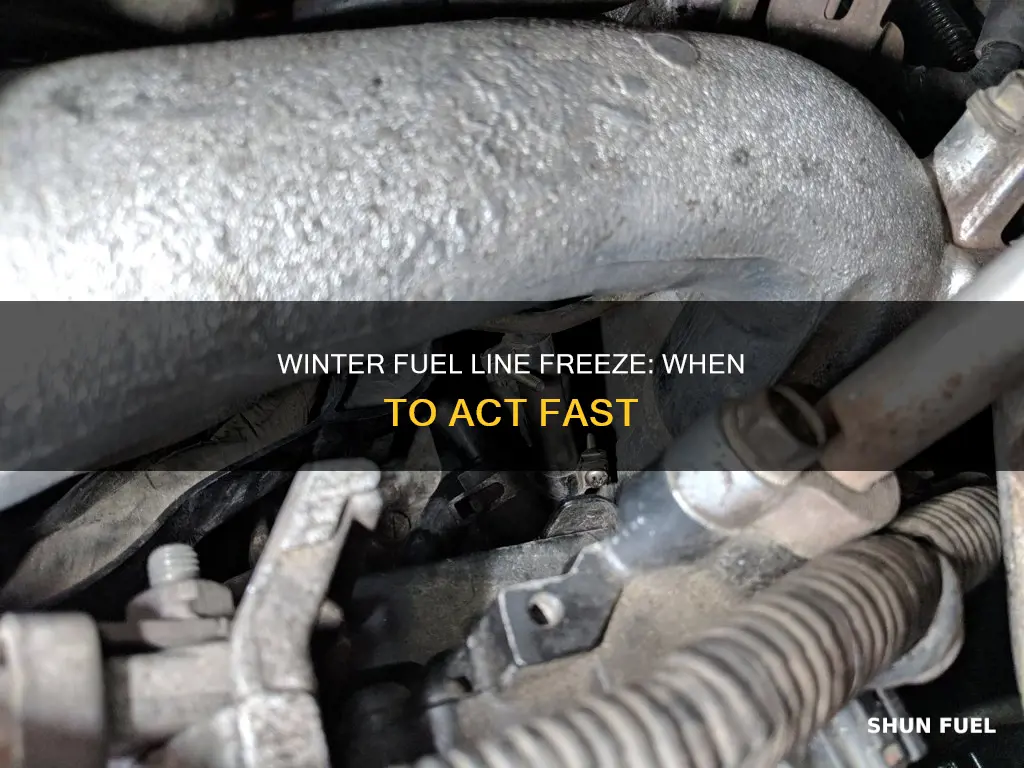 when to worry about fuel line freeze up