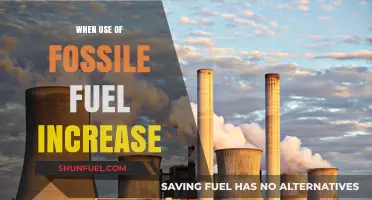 Rising Fossil Fuel Use: Impacts, Causes, and Urgent Need for Change