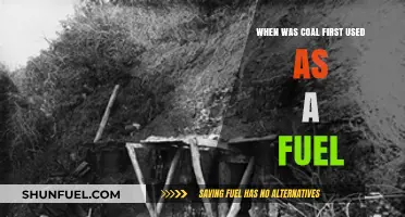 The Ancient Origins of Coal: A Historical Fuel Journey