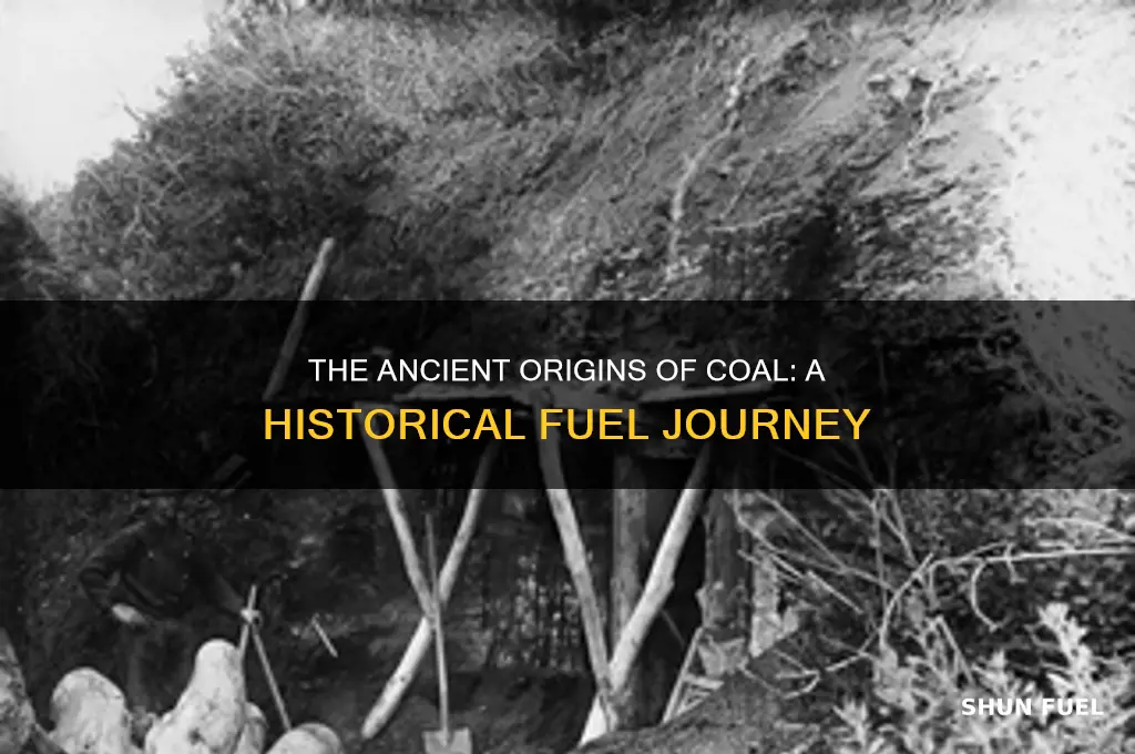 when was coal first used as a fuel