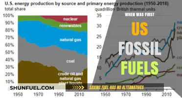 The Dawn of US Fossil Fuels: A Historical Exploration