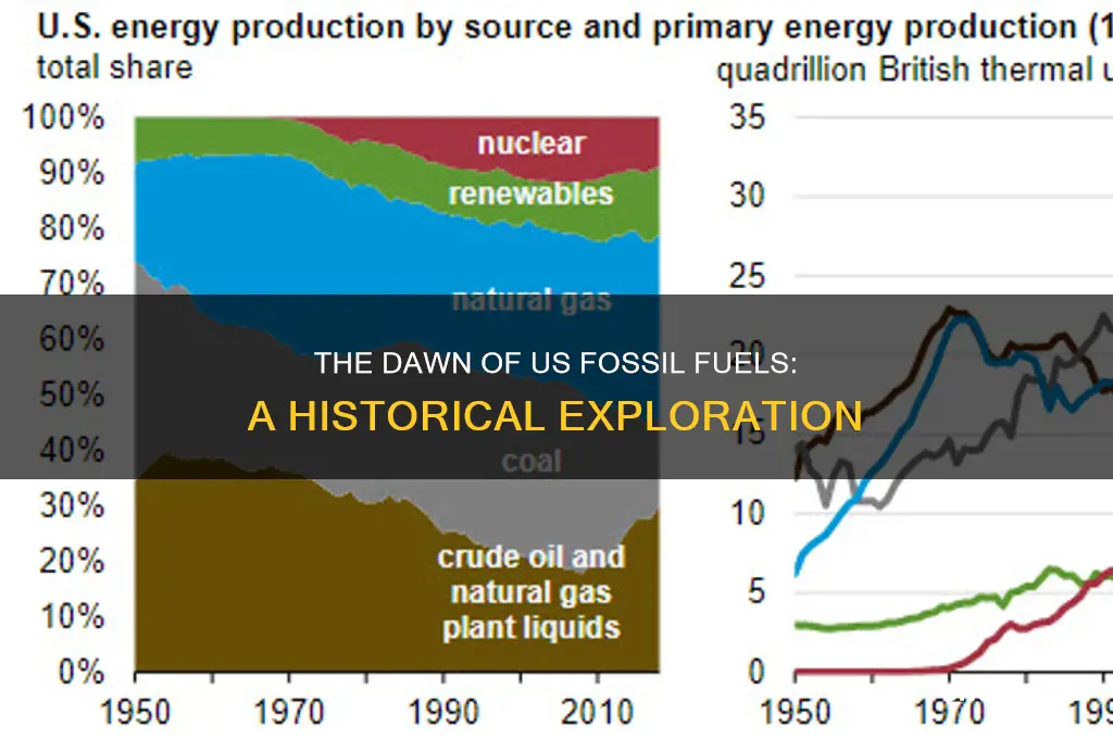when was first us fossil fuels