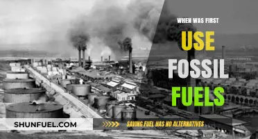 The Dawn of Fossil Fuels: Tracing Their First Industrial Use
