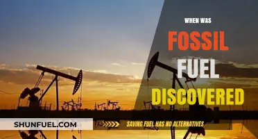Uncovering the Origins: When Fossil Fuels Were First Discovered