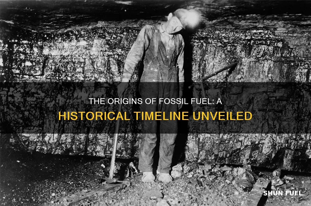 when was fossil fuel founded