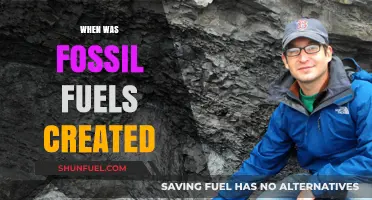 The Ancient Origins of Fossil Fuels: A Geological Journey