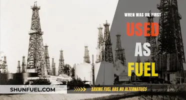 The Dawn of Oil: When Crude Became a Fuel Source