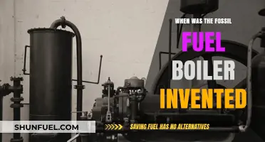The Birth of Fossil Fuel Boilers: A Historical Innovation